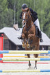 Horse jump a hurdle in a competition
