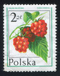 Raspberry