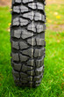 Tire at green grass