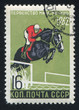 Steeplechase