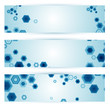 Set of Web banners. Vector