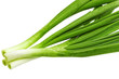 Young onion on white background. Close-Up. Isolated.