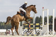 Horse jump a hurdle in a competition