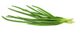 Young onion on white background. Close-Up. Isolated.