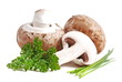 Foto: Braune Champignons Braune Champignons
