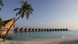 Palm tree on tropical island at ocean. Maldives