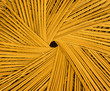 Cane Centre