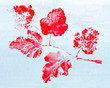 monotypy with red maple leaves