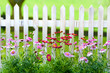 Foto: Gartenzaun Gartenzaun