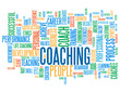 COACHING Tag Cloud (performance skills talent management)