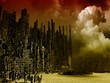 War