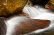Photo: Water Water