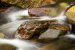 Photo: Water Water