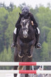 Horse jump a hurdle in a competition