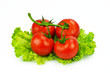 The red tomato and the green salad