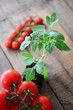 Photo: Tomaten Tomaten