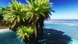 Beautiful natural background - oasis