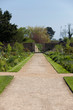 Path  in a lush garden