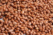 caramelized hazelnuts