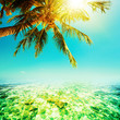 Tropical seascape. Square composition.