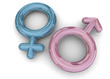 MALE AND FEMALE ICON