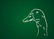 Animal de la ferme : Canard