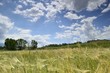 campagna