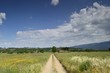 campo