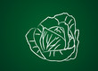 Légumes dessinés sur une ardoise verte : Chou