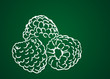 Fruits dessinés sur une ardoise verte : framboises