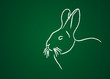 Animal de la ferme : Le lapin