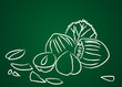 Fruits dessinés sur une ardoise verte : Noisettes