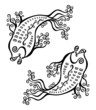 Decorative fish