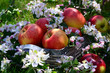 Frühling