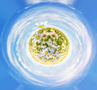 Beautiful planet Earth with daisies and blue sky