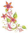 Blume, Blüte, Ranke, Sommer, orange, pink