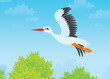 Illustration: White stork flying White stork flying