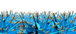 Dart Border