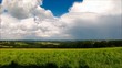 Video: Landschaft Landschaft