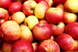 Photo: Apples Apples