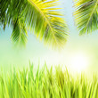 Colorful tropical concept. Square composition.