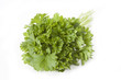 Photo: Parsley, isolated Parsley, isolated