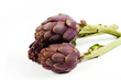 Photo: Artichokes Artichokes