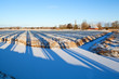 striped shadows on winter Dutch farmland