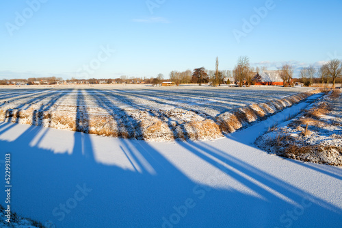 Photo: striped shadows on winter Dutch farmland striped shadows on winter Dutch farmland