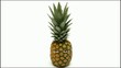 Pineapple Talk