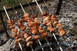 Kebabs on skewers.
