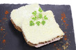 croque-monsieur