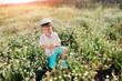 Photo: on a meadow boy in blue shorts and a cap gathers daisies on a meadow boy in blue shorts and a cap gathers daisies