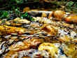 Stones under water